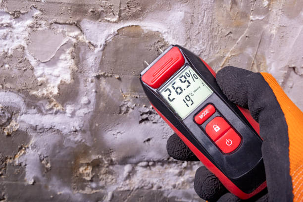 Best White Mold Remediation in Galesburg, MI