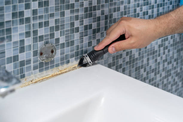 Best Residential Mold Remediation in Galesburg, MI