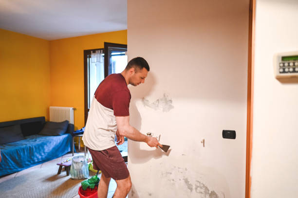 Best Bathroom Mold Remediation in Galesburg, MI